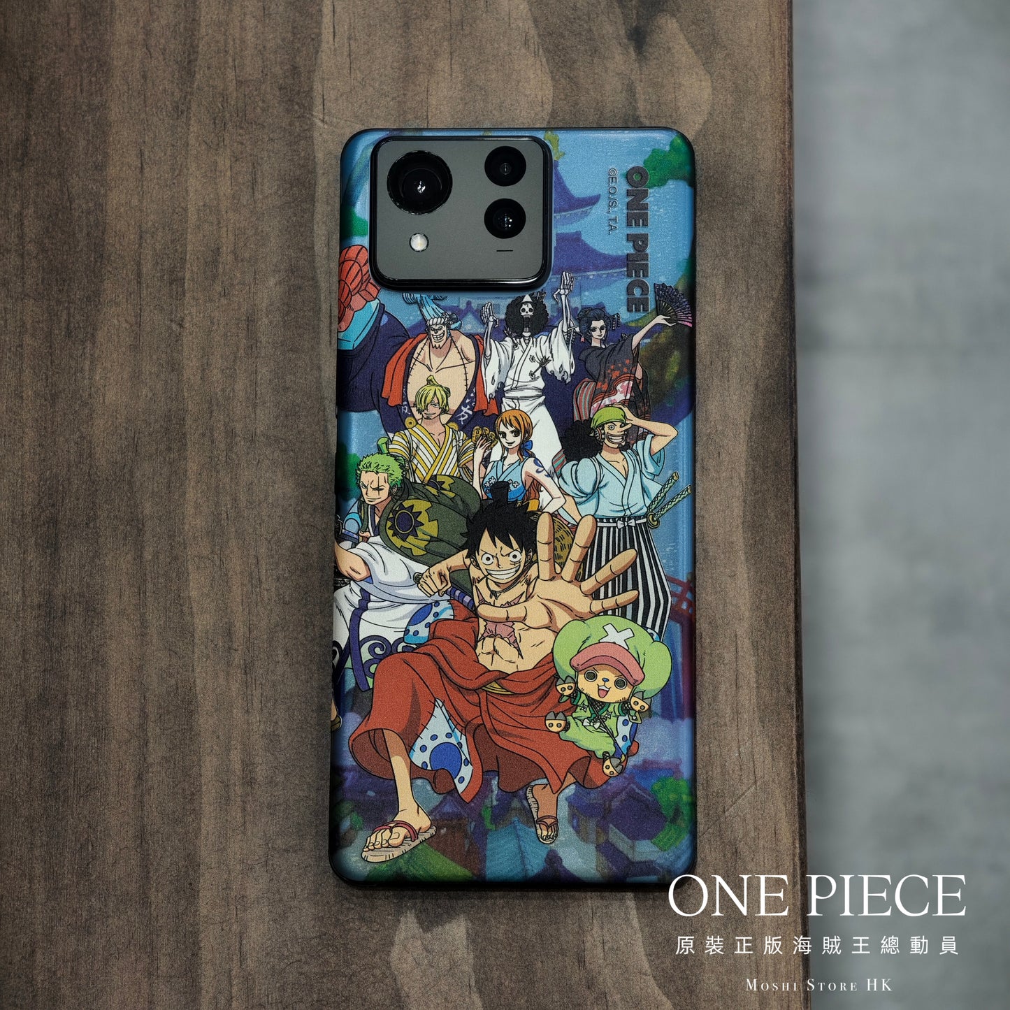 ONE PIECE 海賊王總動員