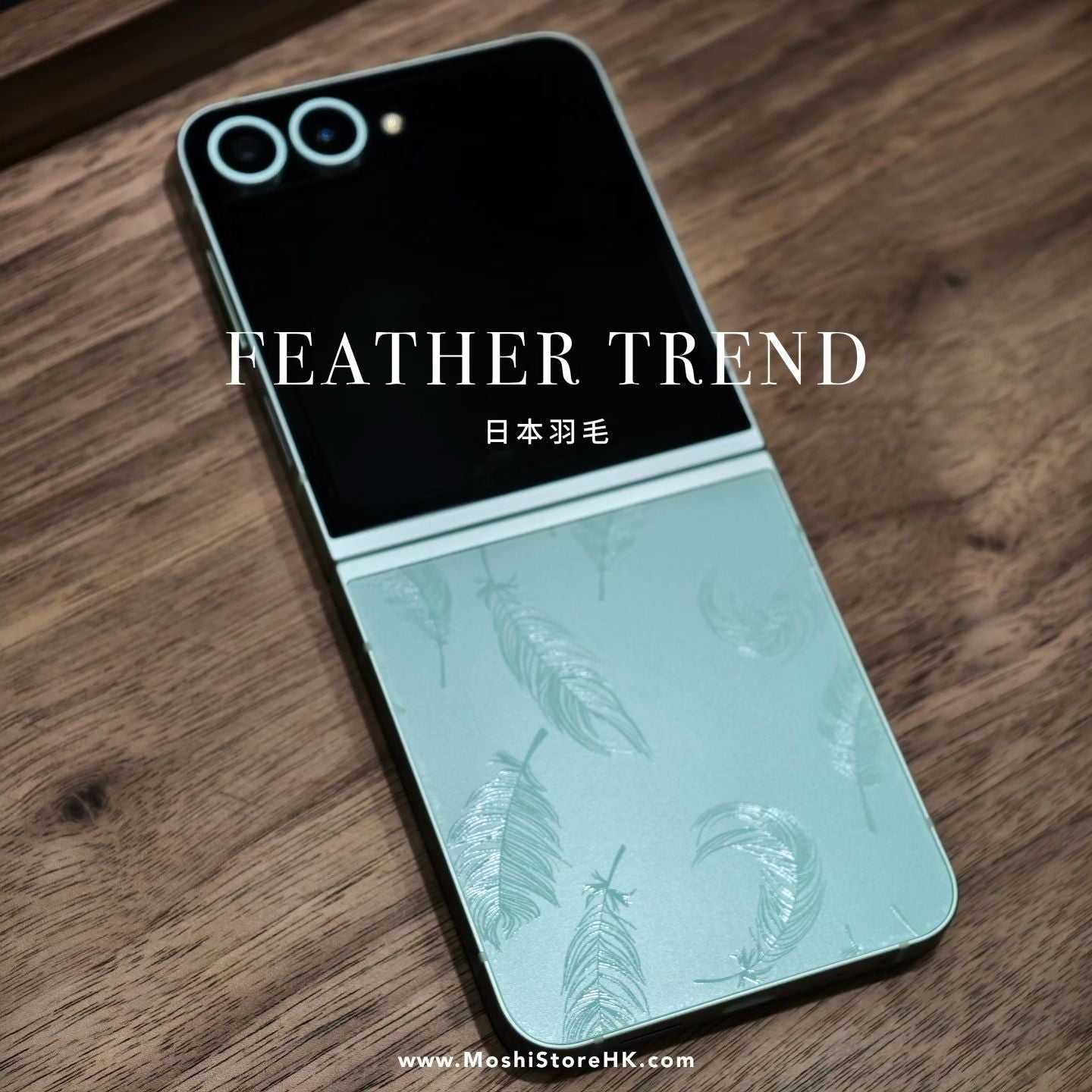 日本羽毛 Feather Trend