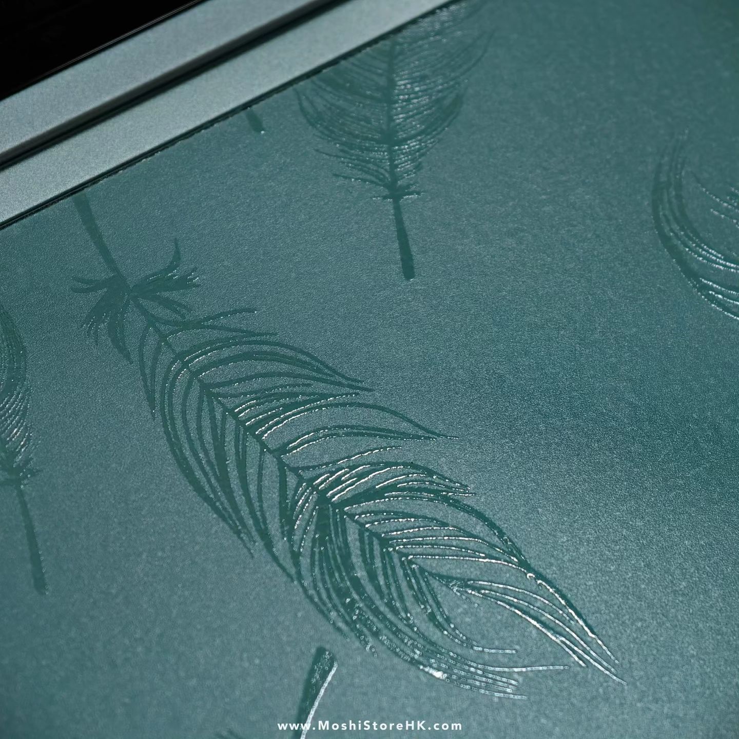 日本羽毛 Feather Trend
