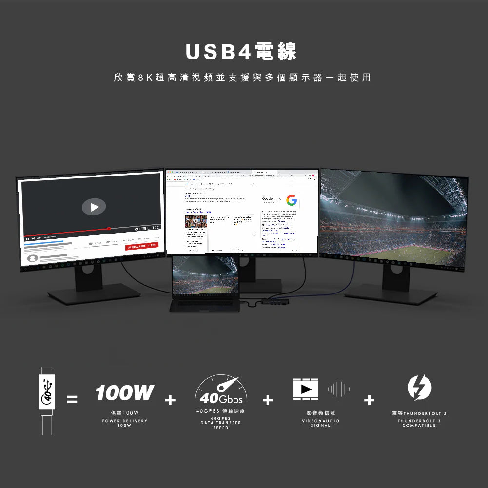 Vinnic品牌 - USB-C to USB-C 100W 傳輸充電線( 0.8米 & 黑色 )