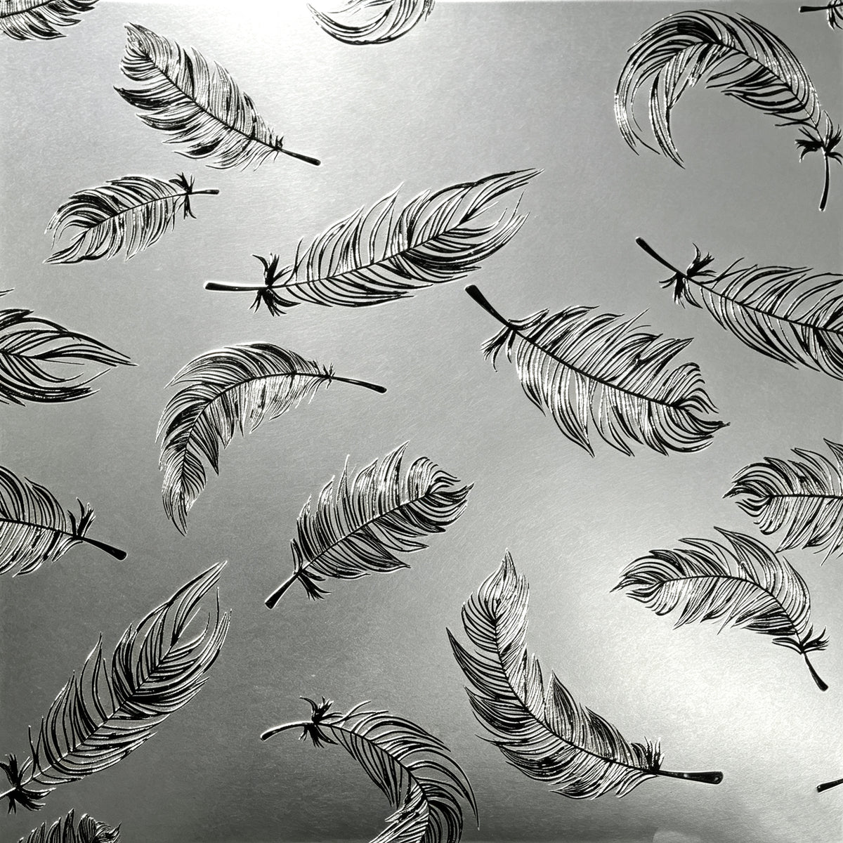 日本羽毛 Feather Trend